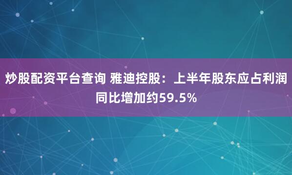 炒股配资平台查询 雅迪控股：上半年股东应占利润同比增加约59.5%